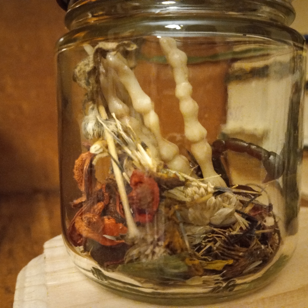 Skeletal specimen jars, set of 3, handmade - Picture 10 of 16